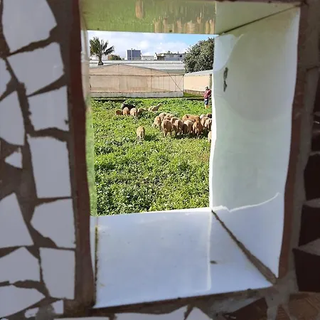 Homestay szállás Viajeros *