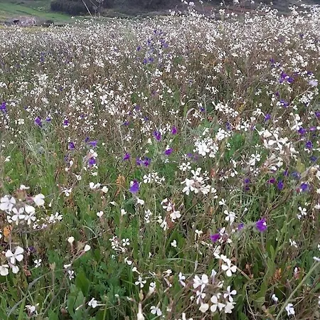 Privatunterkunft Viajeros San Cristóbal de La Laguna